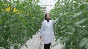 新聞圖片